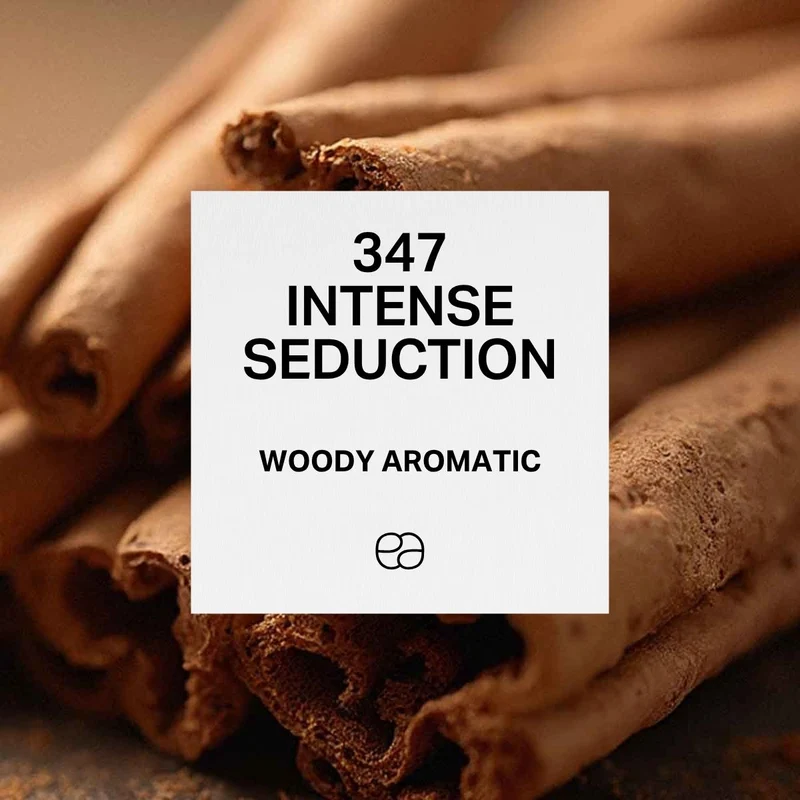 347 Intense Seduction