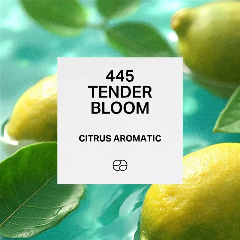 445 Tender Bloom