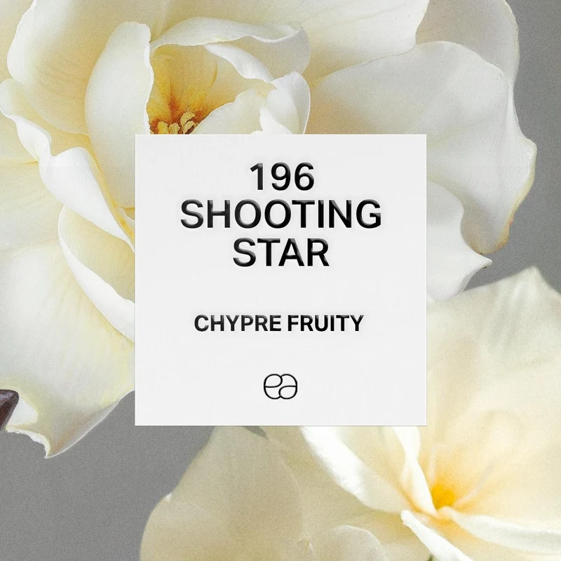 196 Shooting Star