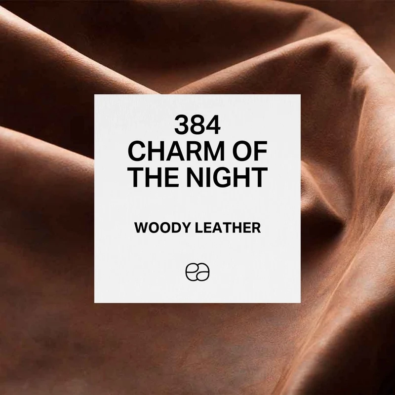 384 Charm of the Night