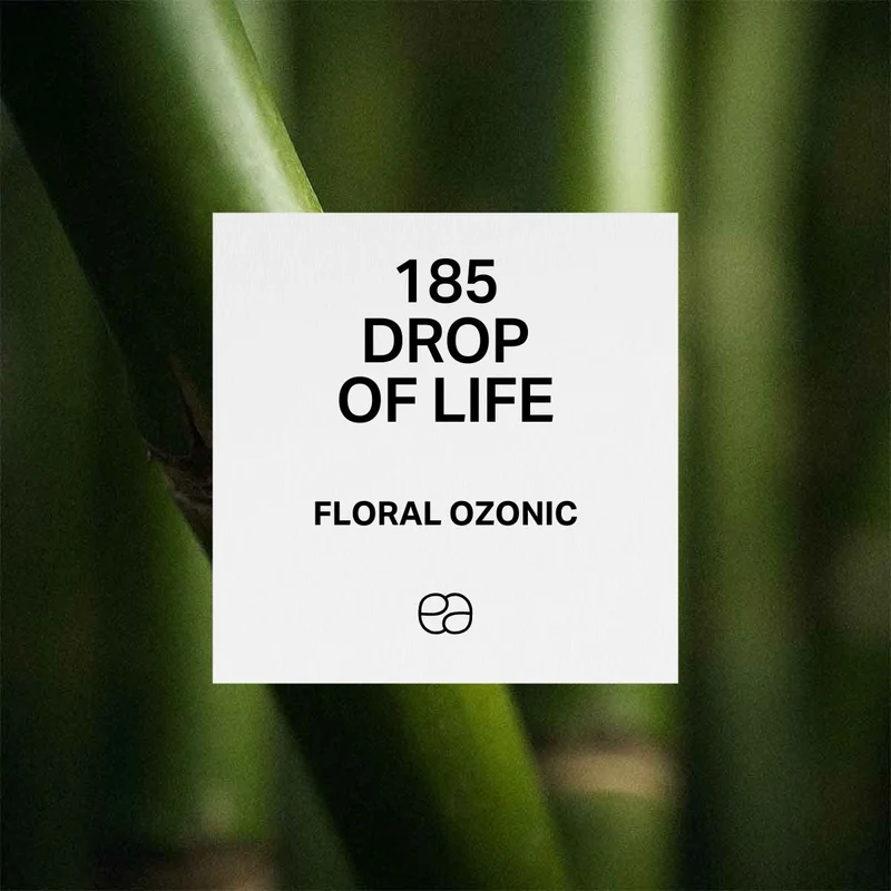185 Drop of Life