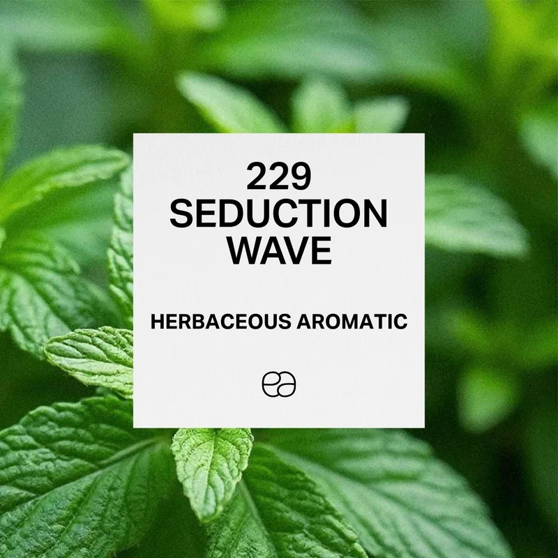 229 Seduction Wave