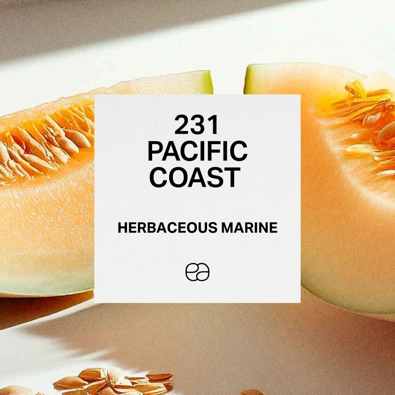 231 Pacific Coast