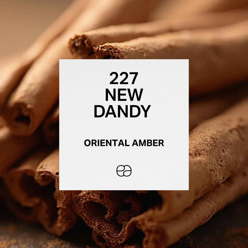 227 New Dandy