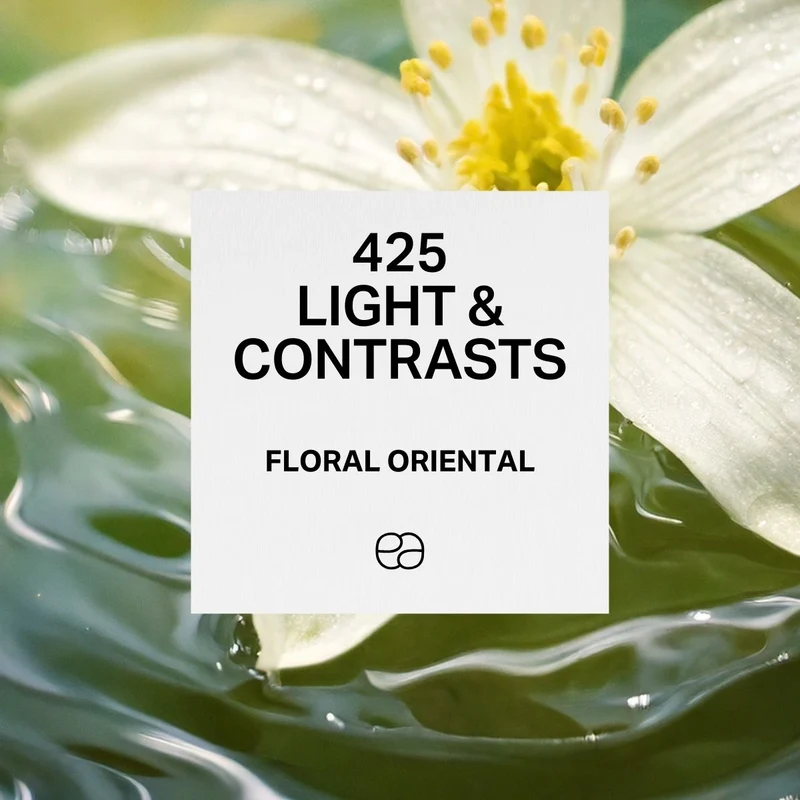 425 Light & Contrasts