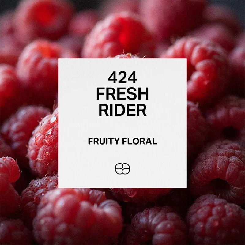 424 Fresh Rider