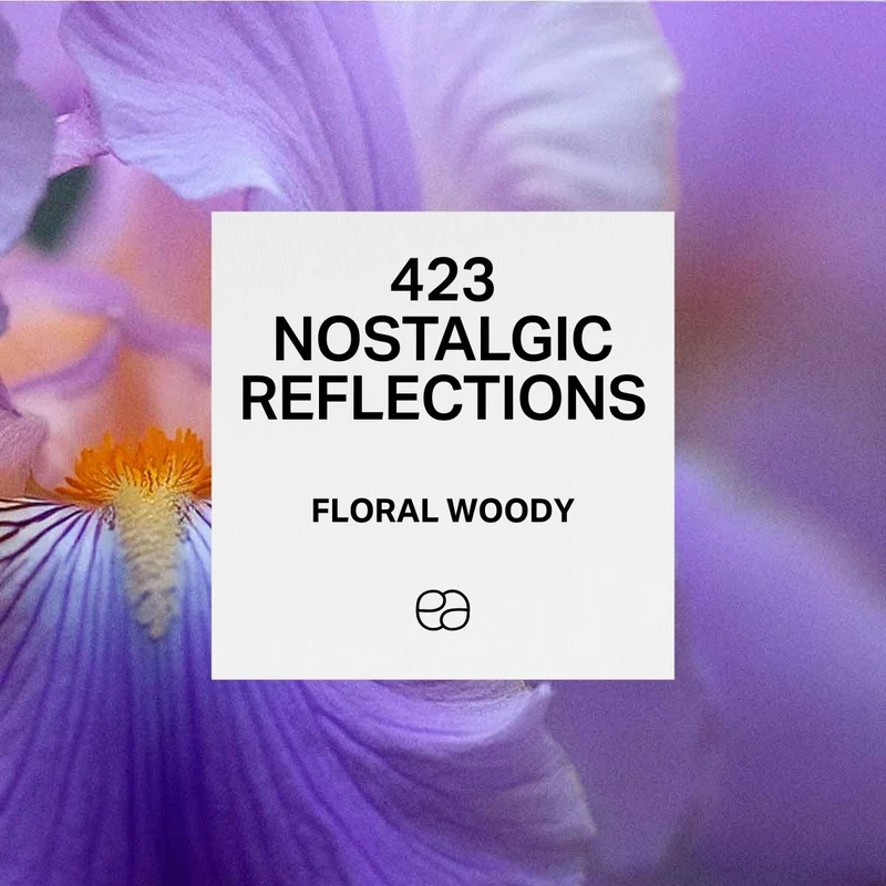 423 Nostalgic Reflections