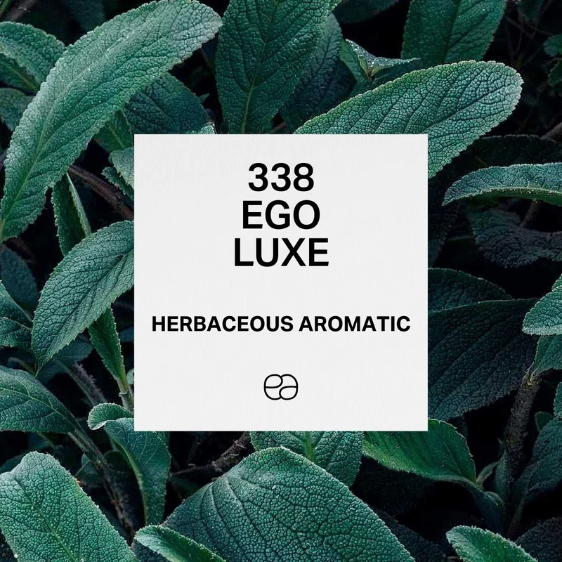338 Ego Luxe