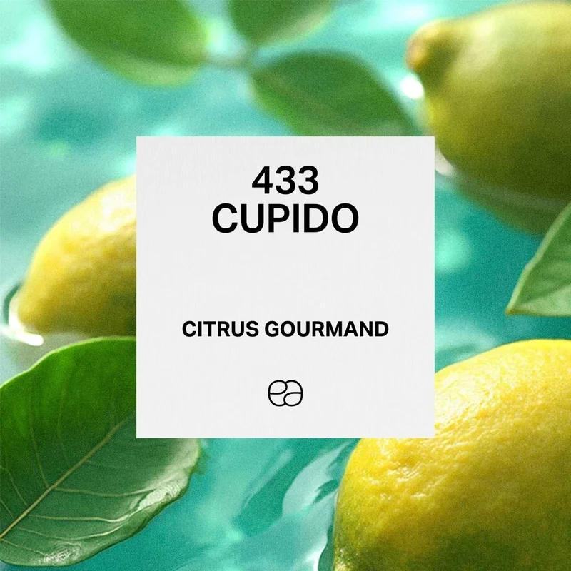 433 Cupido