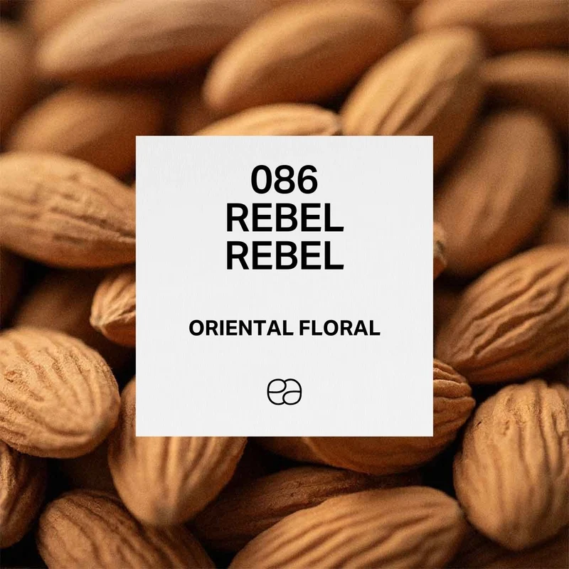 086 Rebel Rebel