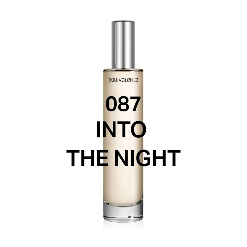 087 Into The Night