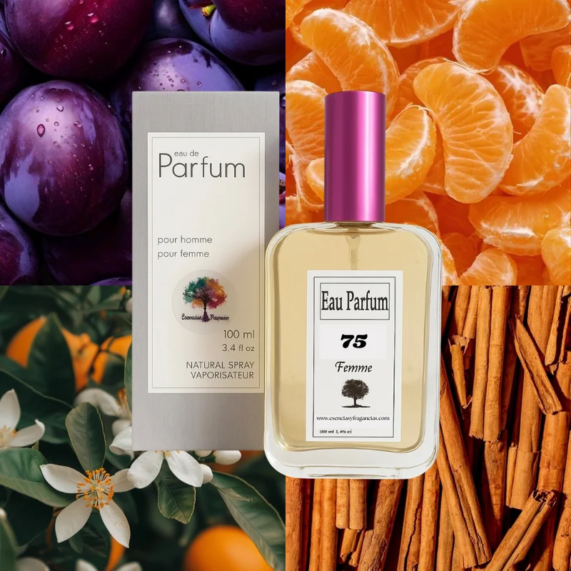 Perfume Femenino 75 - Símil Classique de JPG