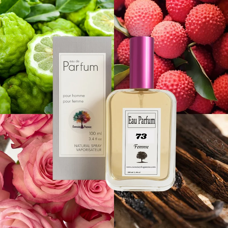 Perfume Femenino 73 - Símil Coco Mademoiselle Parfum de Chan...