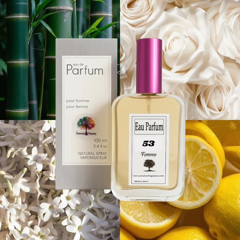 Perfume Femenino 53 - Símil Light Blue de D&G