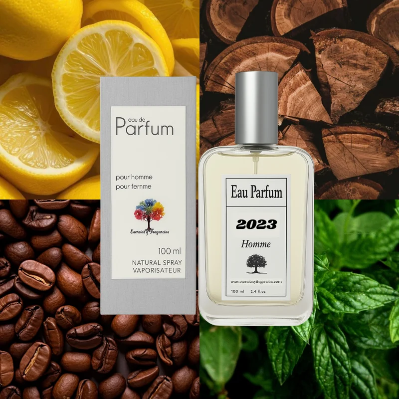 Perfume Masculino 2023 - Símil Devotion Pour Homme de Dolce & Gabanna