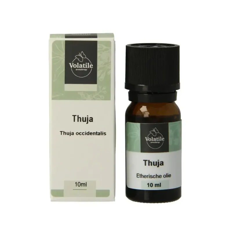 Volatile Thuja