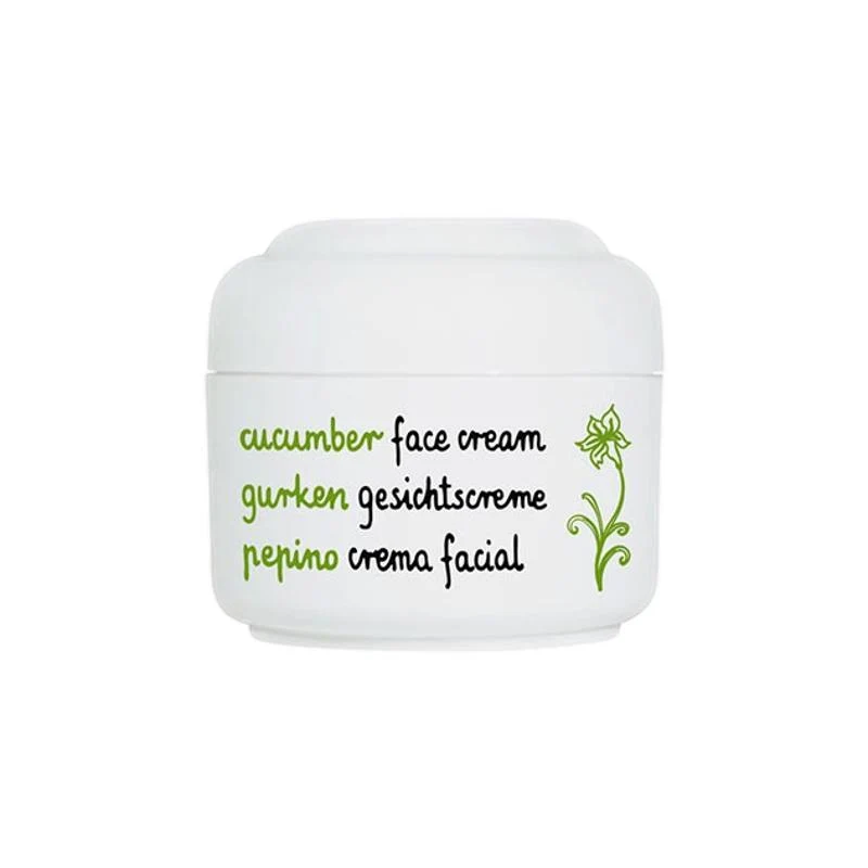 Crema facial piel mixta / grasa Pepino