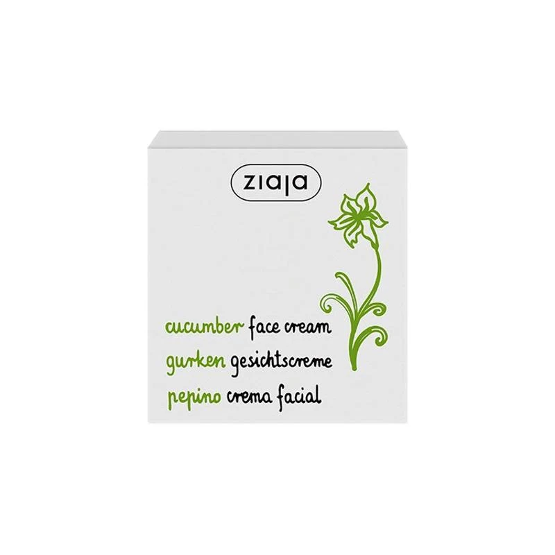 Crema facial piel mixta / grasa Pepino