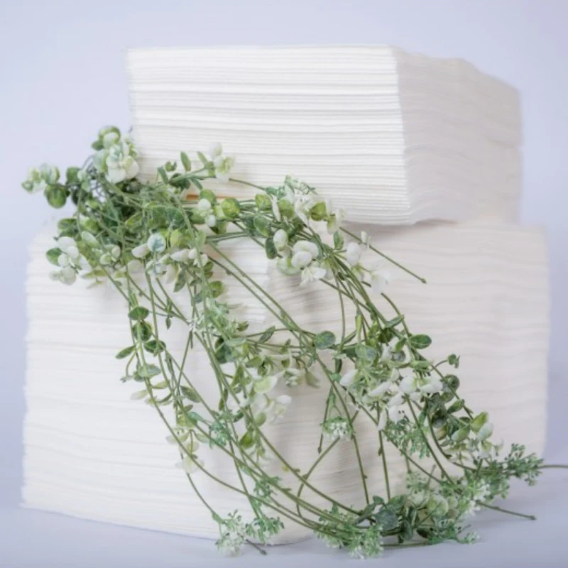PW TOWELS MS AIRLAID MINI 40 cm x 50 cm, 50 g [AMS 40.50.50]