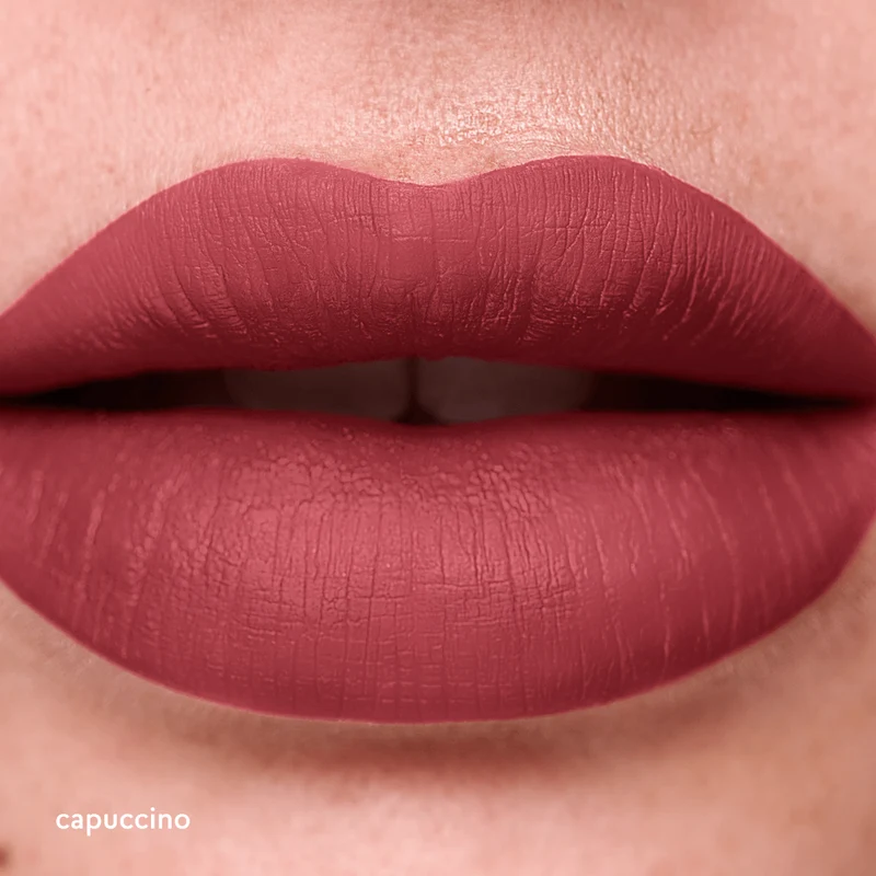 Labial Mate Studio Look