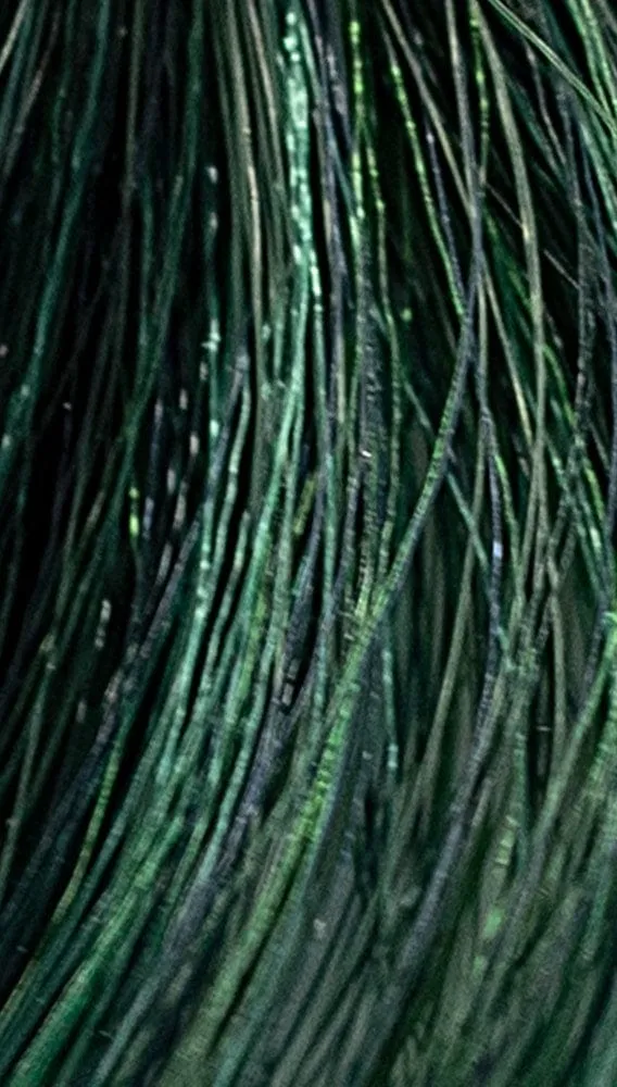 REF Permanent Hair Color, Pastels