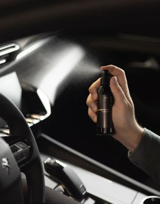 AROMATIC 89 Car Air Freshener Spray Wyny, 100 ml