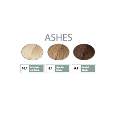 REF Soft Hair Color Toner, Ashes