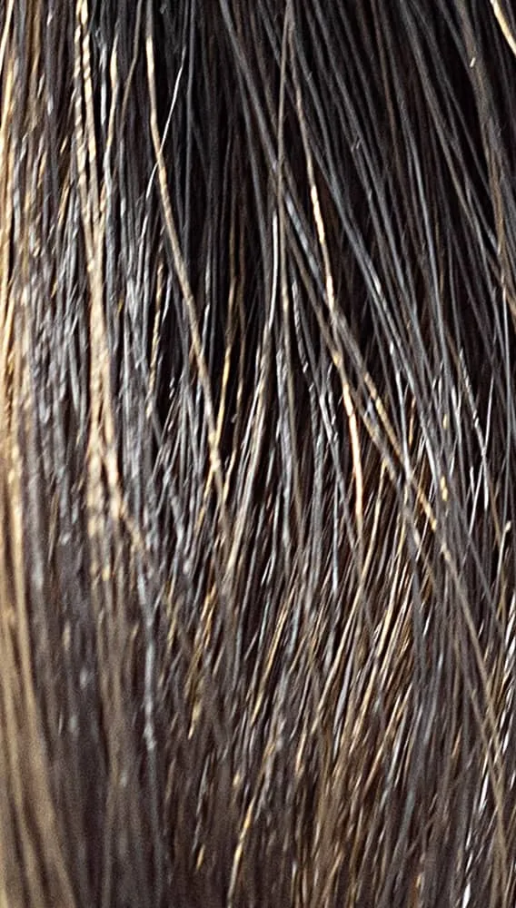 REF Soft Hair Color Toner, Ashes