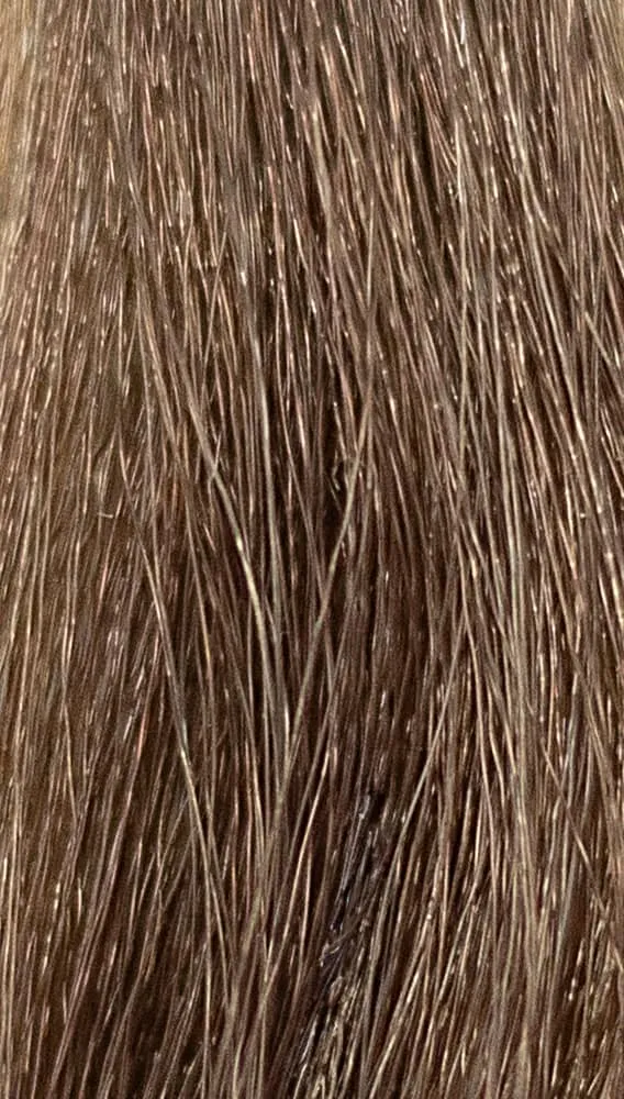 REF Permanent Hair Color, Coffees