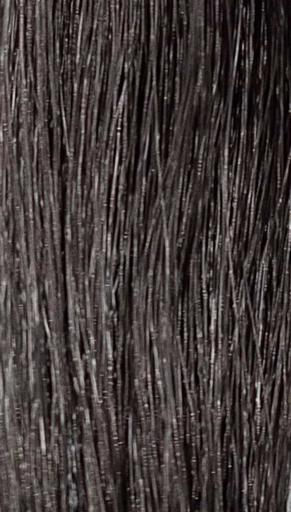REF Permanent Hair Color, Woods