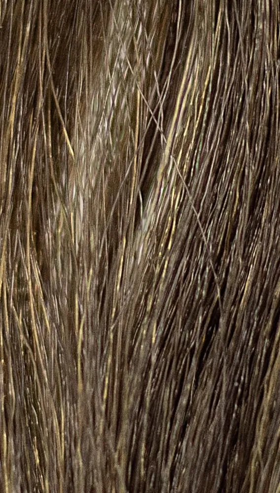 REF Permanent Hair Color, Woods