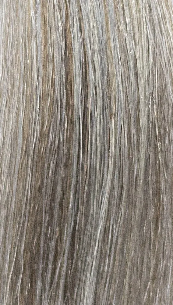 REF Permanent Hair Color, Cool Ashes