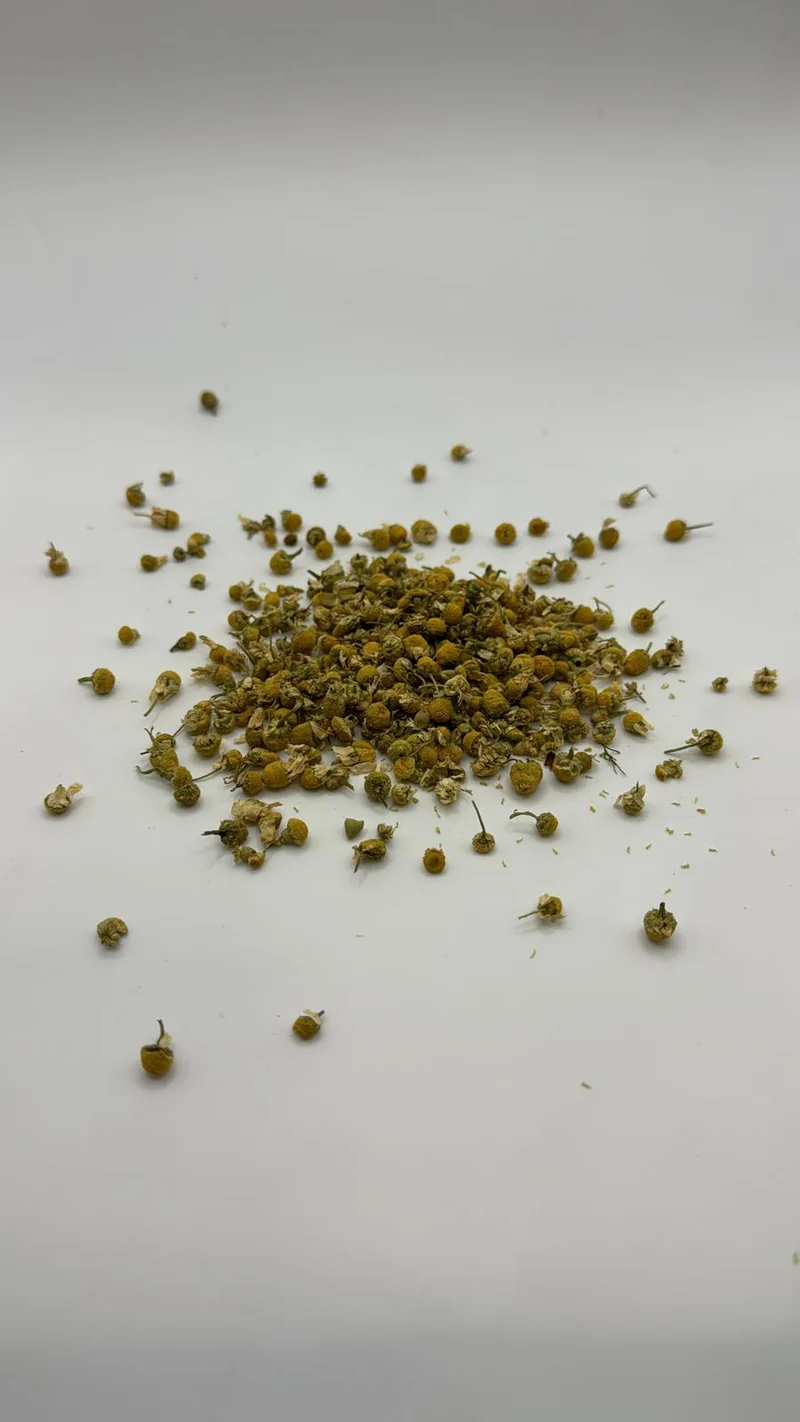 MINI BROTES DE MANZANILLA
