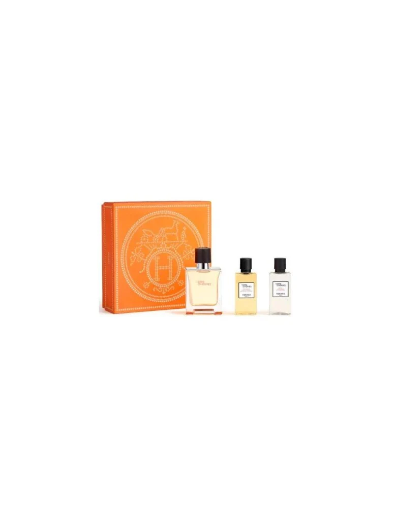 Hermès Terre D´hermes e T 50 Spray Gel40 Ash40