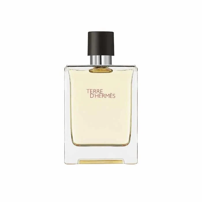 Hermes Terre D´Hermes Eau De Toilette Spray 100ml