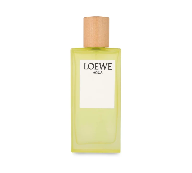 Loewe Agua Loewe Eau De Toilette 100ml Spray