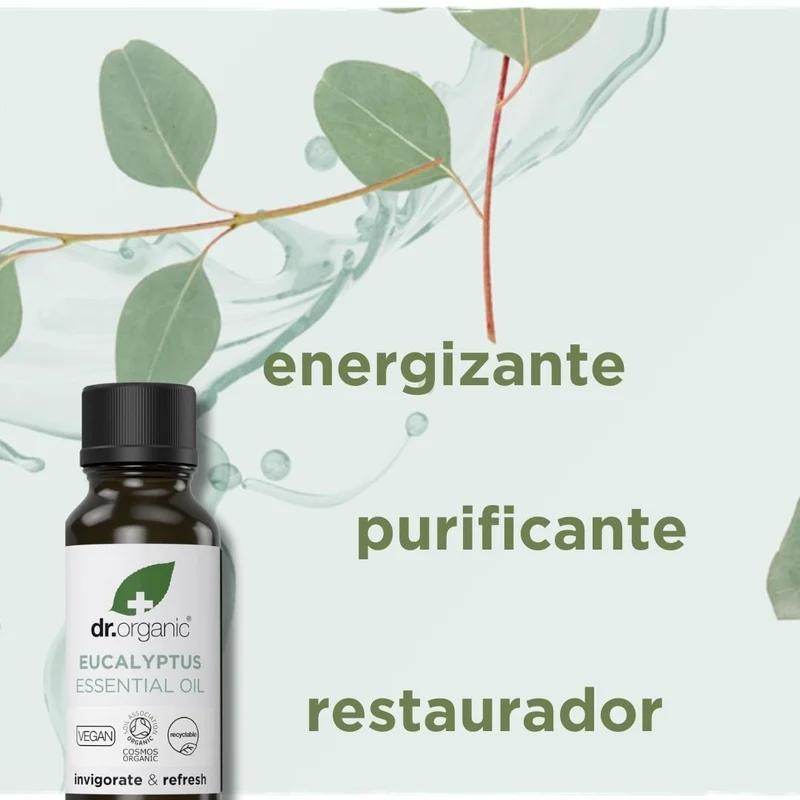 Aceite esencial de Eucaliptus Globulus Bio y 100% puro 10ml
