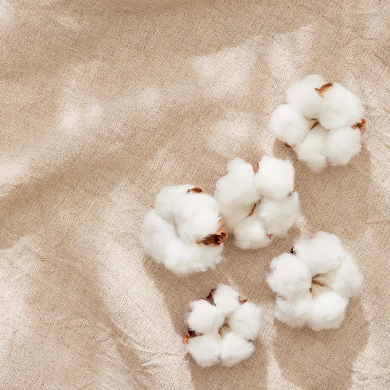 Fresh Linen