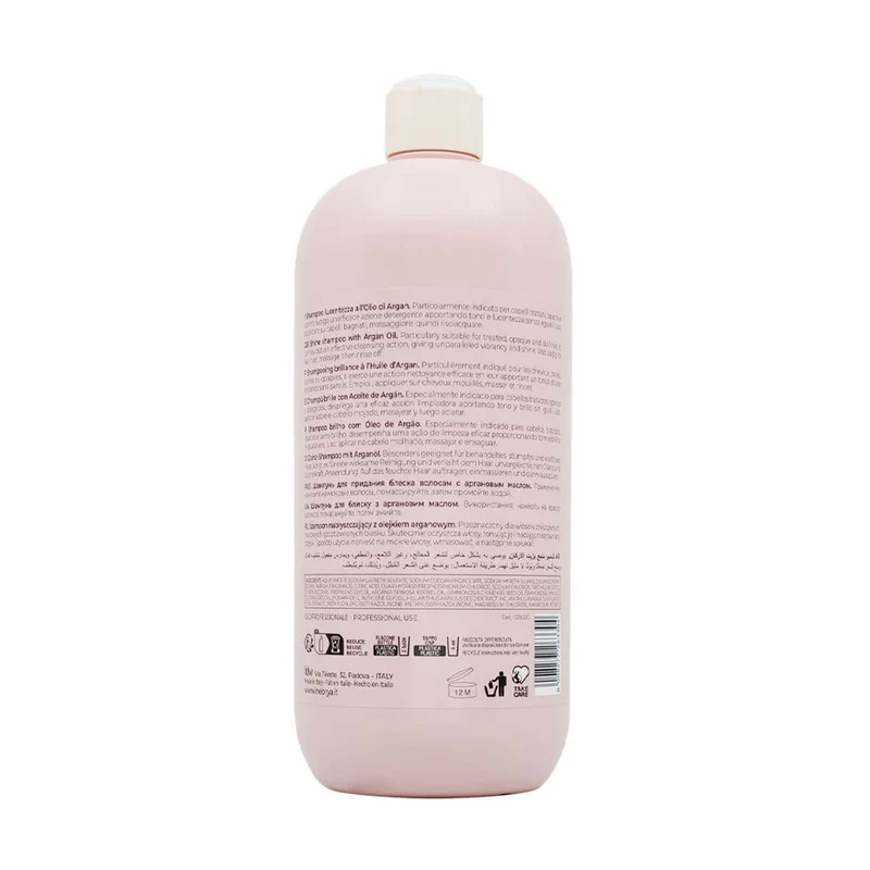 Inebrya Pro-age shampoo 1000ml 堅果洗頭水 適合漂染後、暗沉乾旱髮質