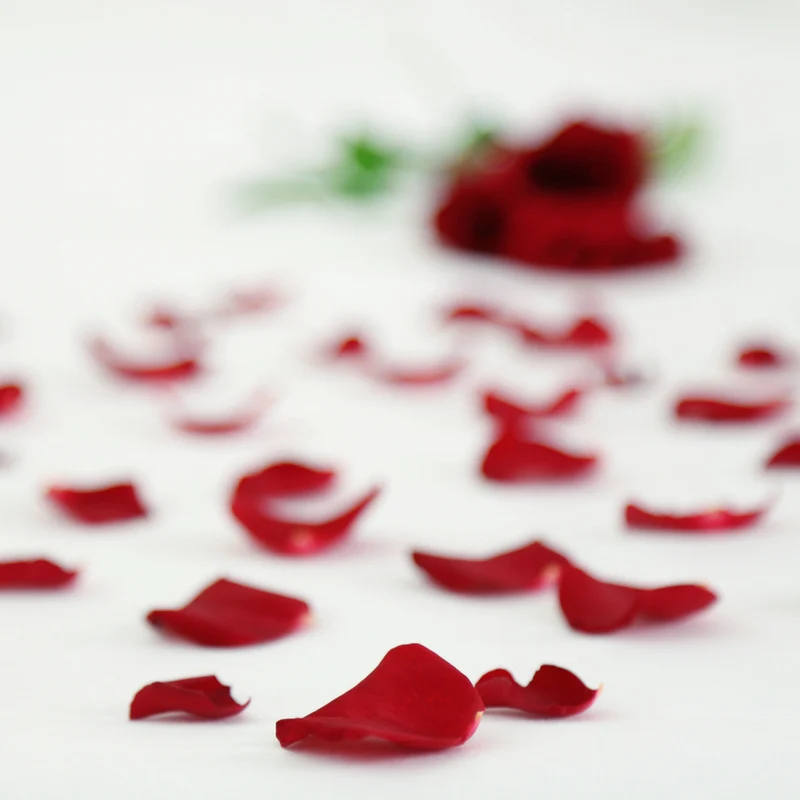 Lecho de Rosas