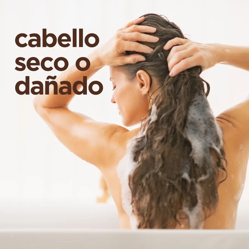 Champú Aceite de Argán Marroquí para cabello seco o dañado 265ml