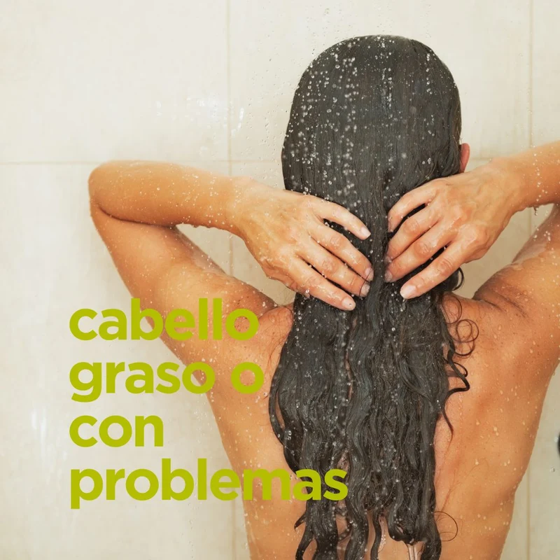 Champú Árbol de Té para cabello graso o con problemas 265ml