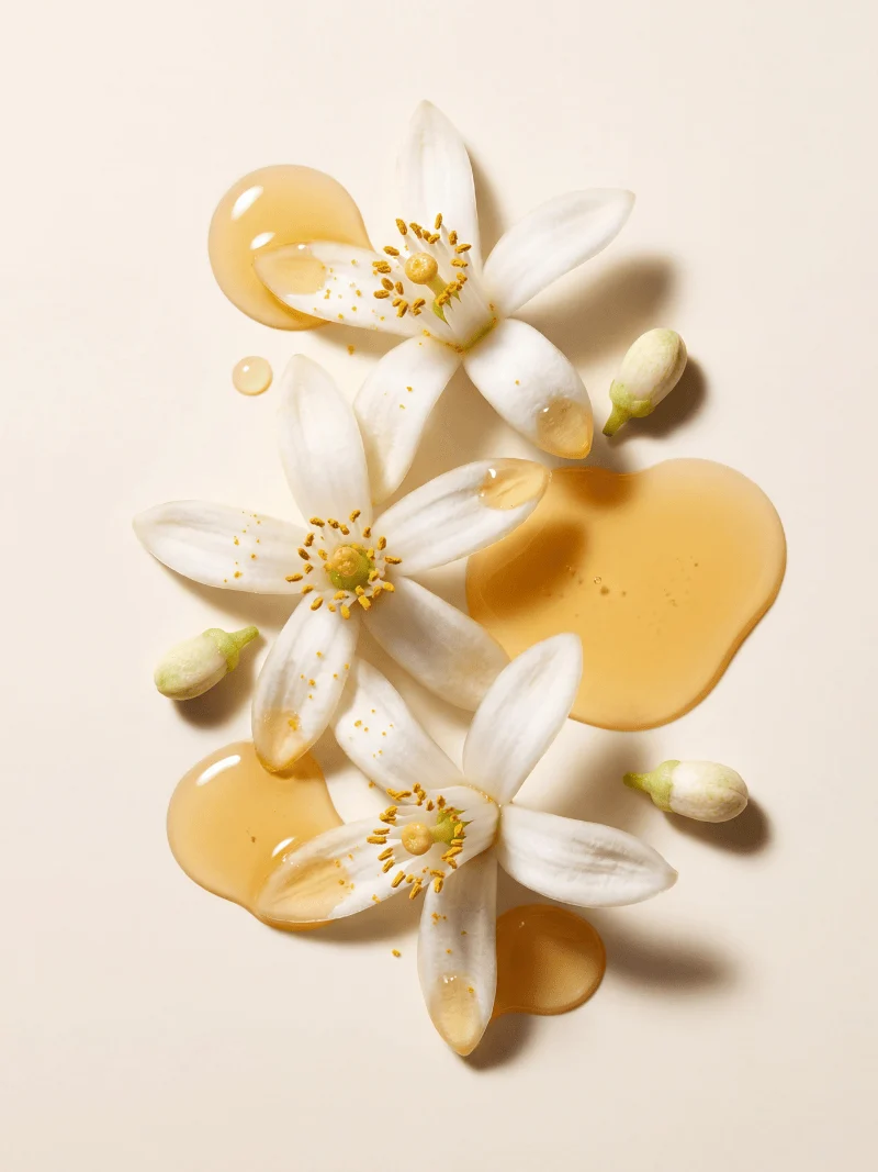 Sicilian Neroli & Cashmere Fragrance Oil