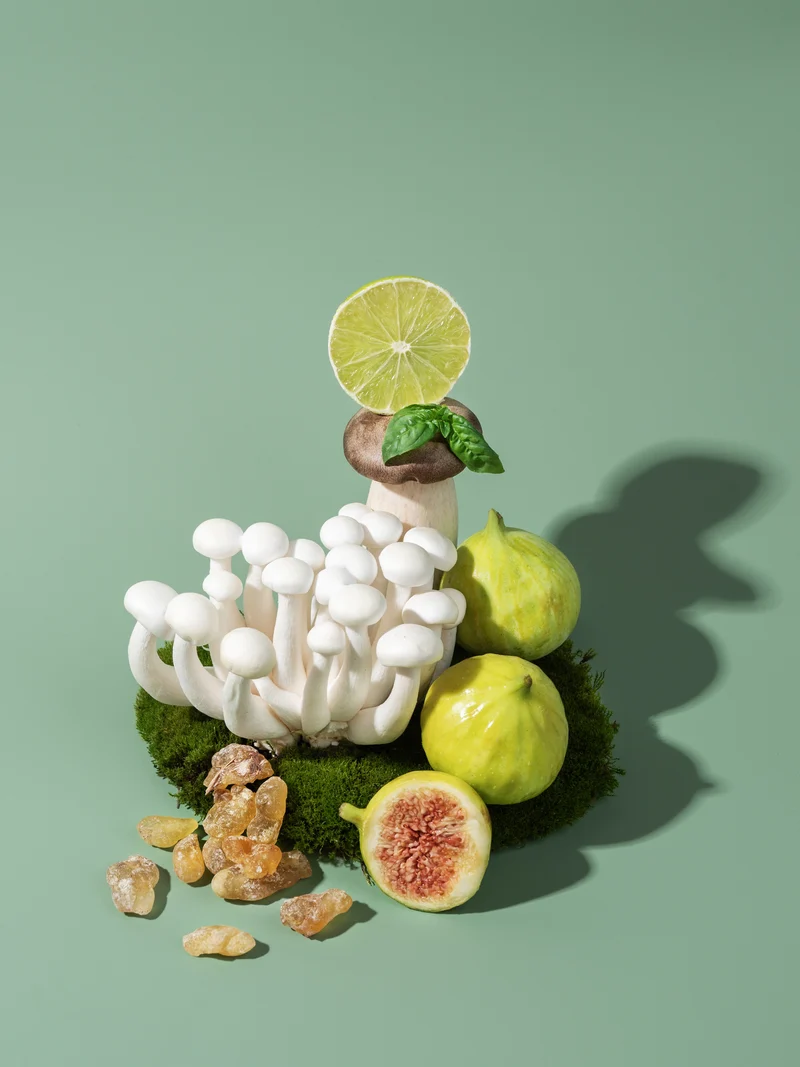 Green Fig and Wild Mushroom Fragrance Oil