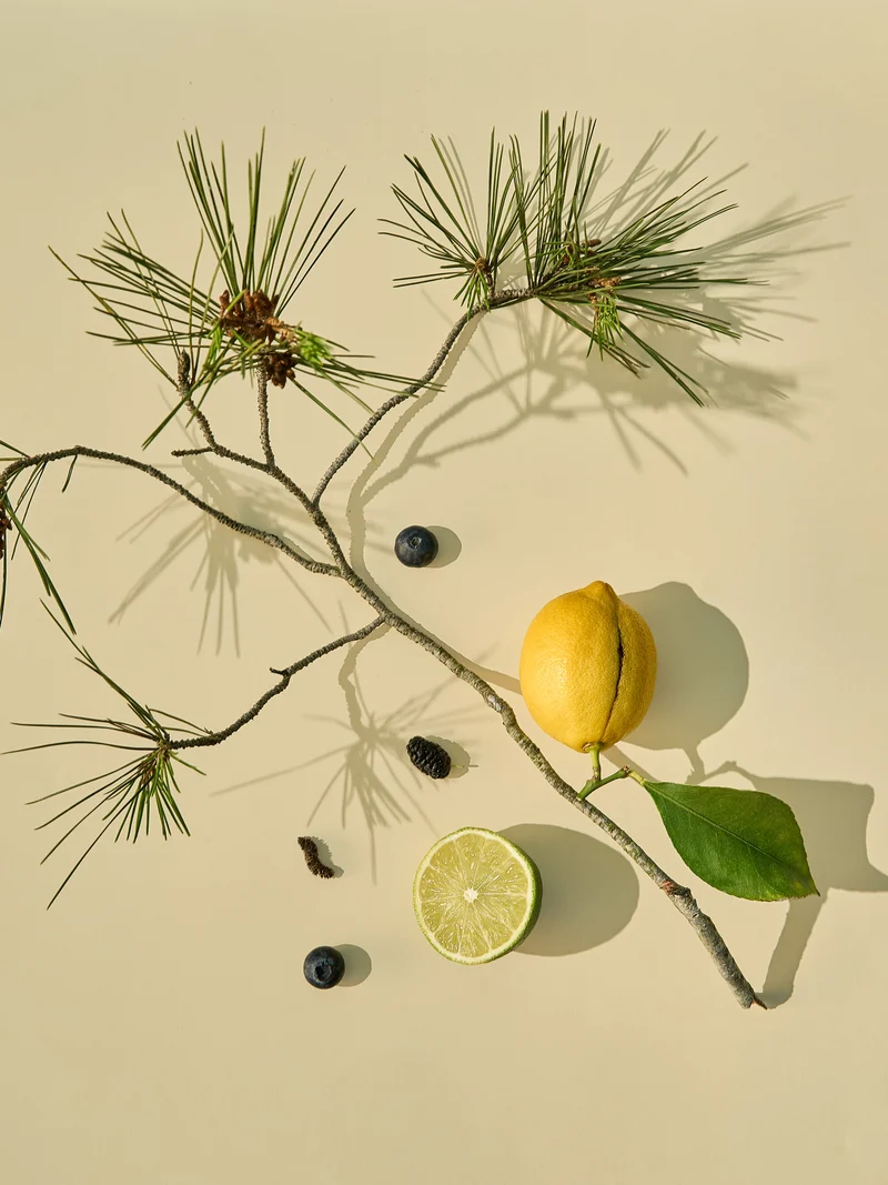 Siberian Cedar & Bergamot Fragrance Oil