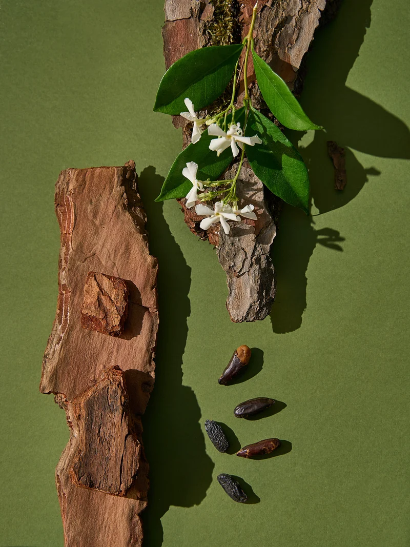 Oud Wood & Sweet Jasmine Fragrance Oil