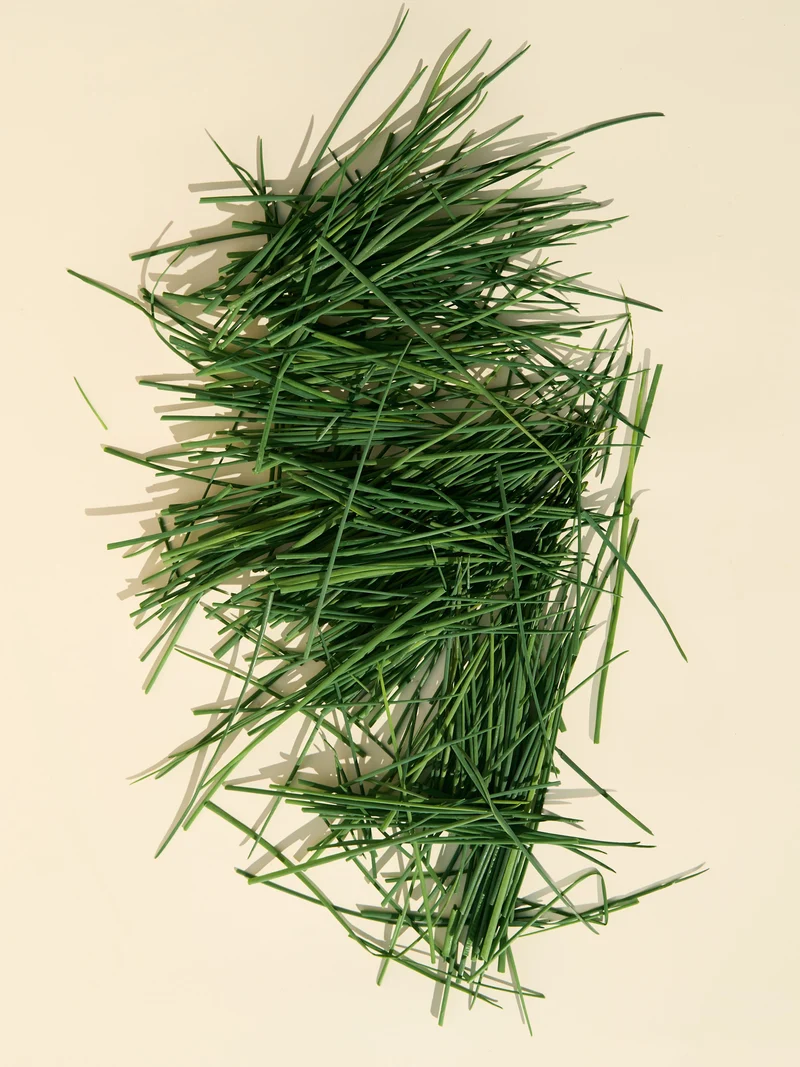 Fresh Cut Grass Fragrance Oil