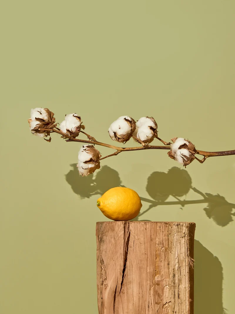 Fresh Cotton & Green Tea Fragrance Oil