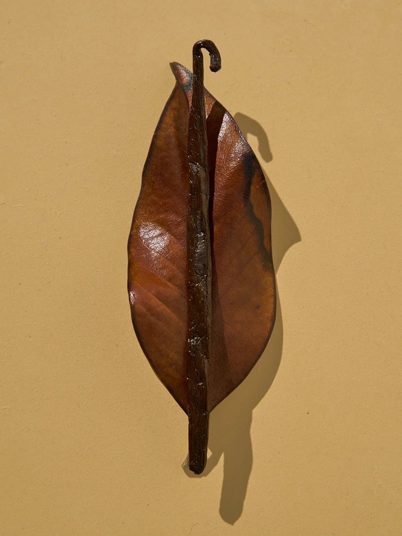 Tobacco & Vanilla Fragrance Oil
