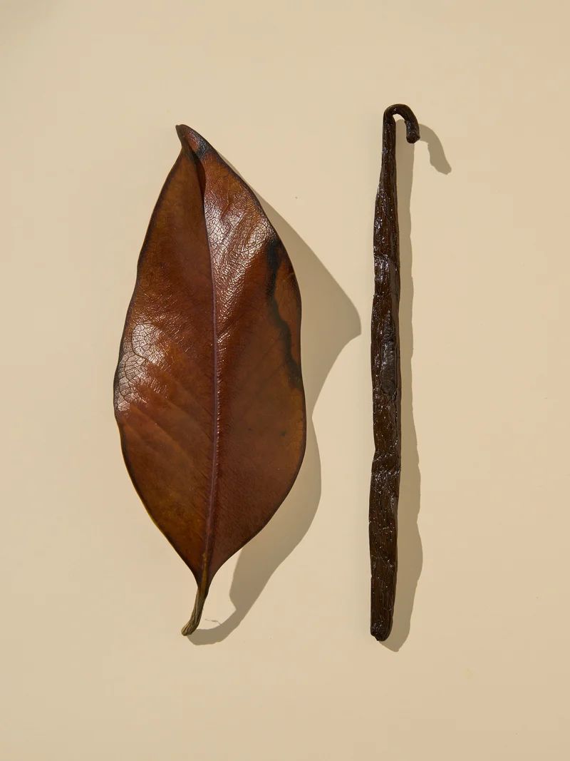 Tobacco & Vanilla Fragrance Oil